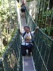 CanopyWalkway.JPG (92 KB)